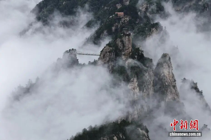 图为河南南阳西峡县老界岭现雨后云海景观。杨永青 摄