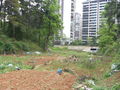 贵阳森林公园旁遭开挖种菜？ 部门释疑：属合规农田复耕丨融媒+督查
