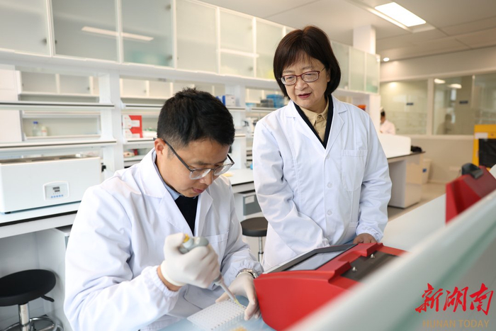 3月24日，岳麓山实验室，湖南省农科院作物研究所研究员李莓（右）和副研究员李宝在进行油菜育种。​