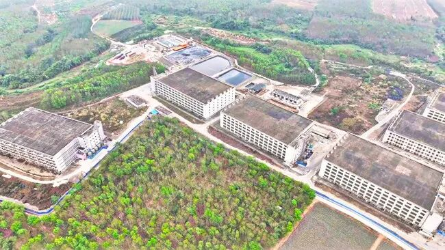 罗牛山生猪养殖基地。图源于这里是儋州微信公众号