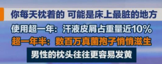 网络新闻截图