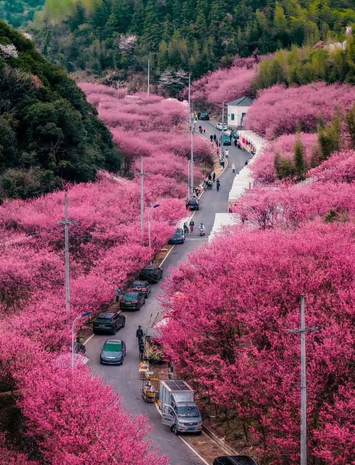 摄影/浪的几日是几日