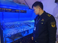 南京市六合区市场监管局筑牢长江禁渔防线