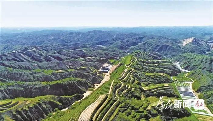 绥德县张家砭镇郝家桥村山地苹果产业园（资料照片）。 受访者供图