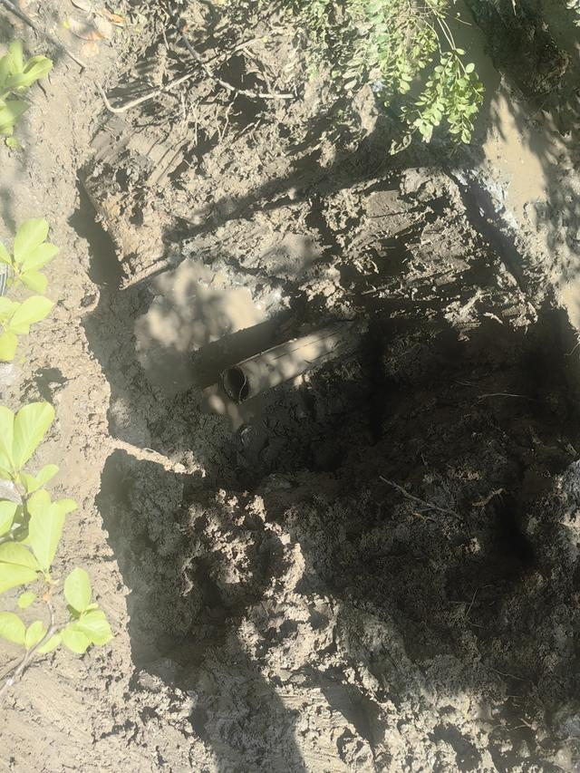 地下冒水，现场挖开图 受访者供图