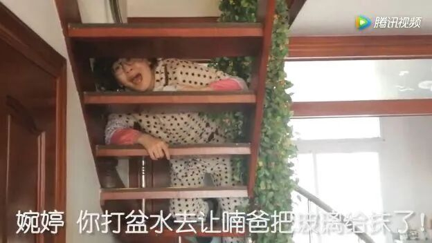 来源 | 辽沈晚报、半岛晨报