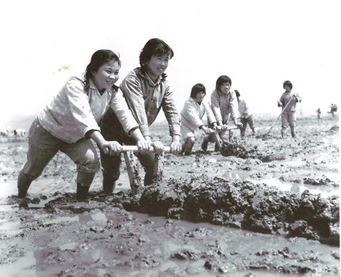     20世纪60年代海堤建成后，东湖塘内是寸草不生的烂泥盐碱荒地，归侨职工先开沟洗盐退碱改良土地，再垦荒种植。（资料图片）
