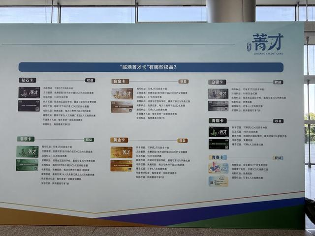 各类“临港菁才卡”对应的专属权益。沈思怡 摄