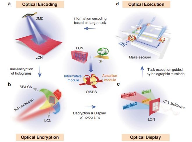 （来源：Light: Science & Applications）