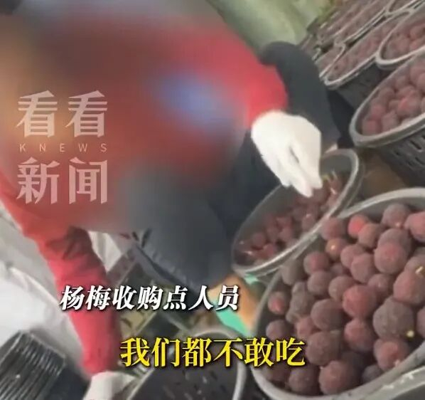 视频截图