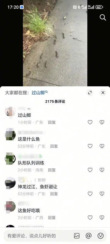 视频引发众多网友关注和评论。社交平台截图