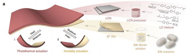 （来源：Light: Science & Applications）