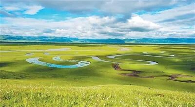 甘肃玛曲县，黄河“首曲”与湿地草原相映成趣。玛曲县融媒体中心供图