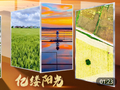 亿缕阳光·乡见｜藏在农田里的浪漫