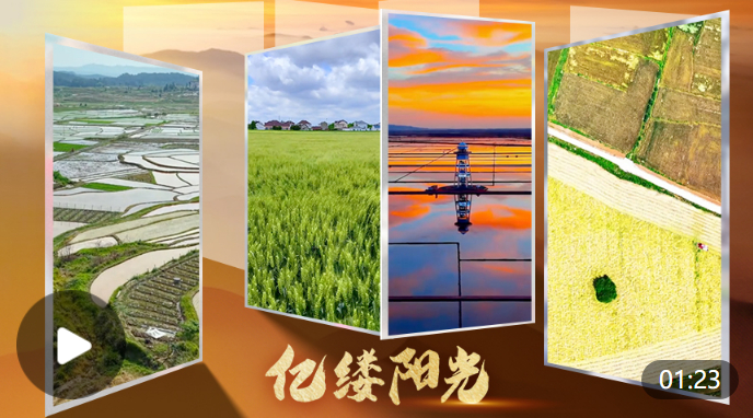 编辑：呼乐乐