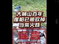 贺州市钟山县大桶山百年崖柏被当柴烧？官方发布情况说明