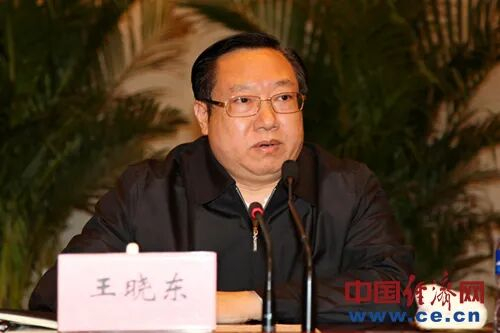 王晓东 资料图 来源：中国经济网