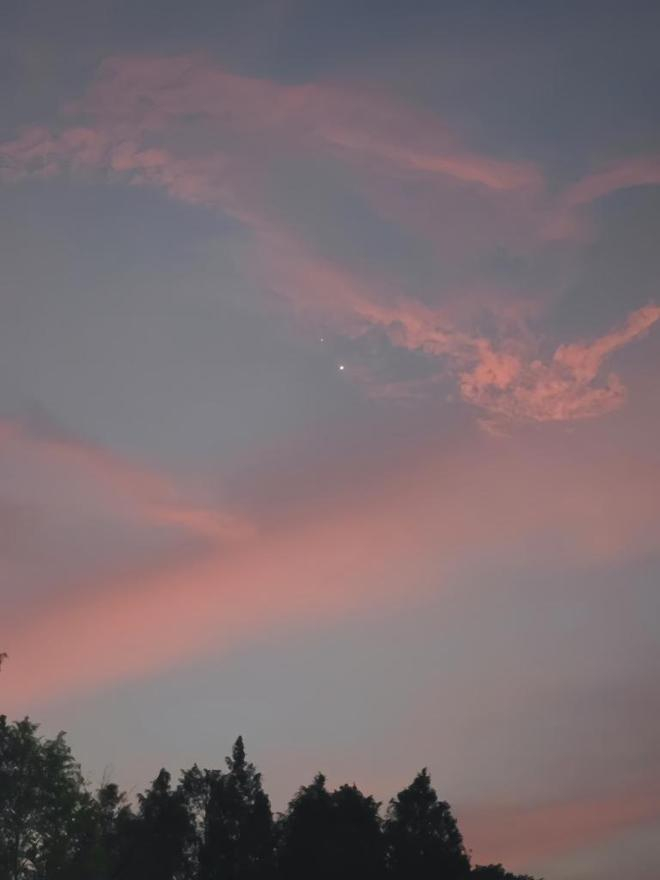 2025年8月13日，在江苏苏州拍摄的金星伴木星。其中，最明亮的那颗是金星。（伍泓宇 摄）