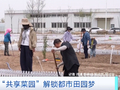 火了！这届年轻人，周末相约去“种地”