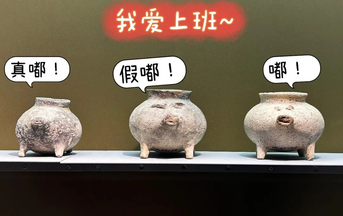 内容来源：南京日报南报网