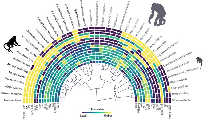 （来源：DOI: 10.1371/journal.pbio.3003771）