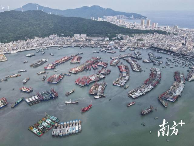 阳江江城区闸坡镇渔港。南方+记者 徐昊 摄