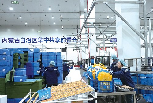 　　在内蒙古自治区华中共享前置仓的专属打包台，工作人员正有序分拣、打包来自草原的农畜产品，确保高效发往全国市场。　刘涛　摄