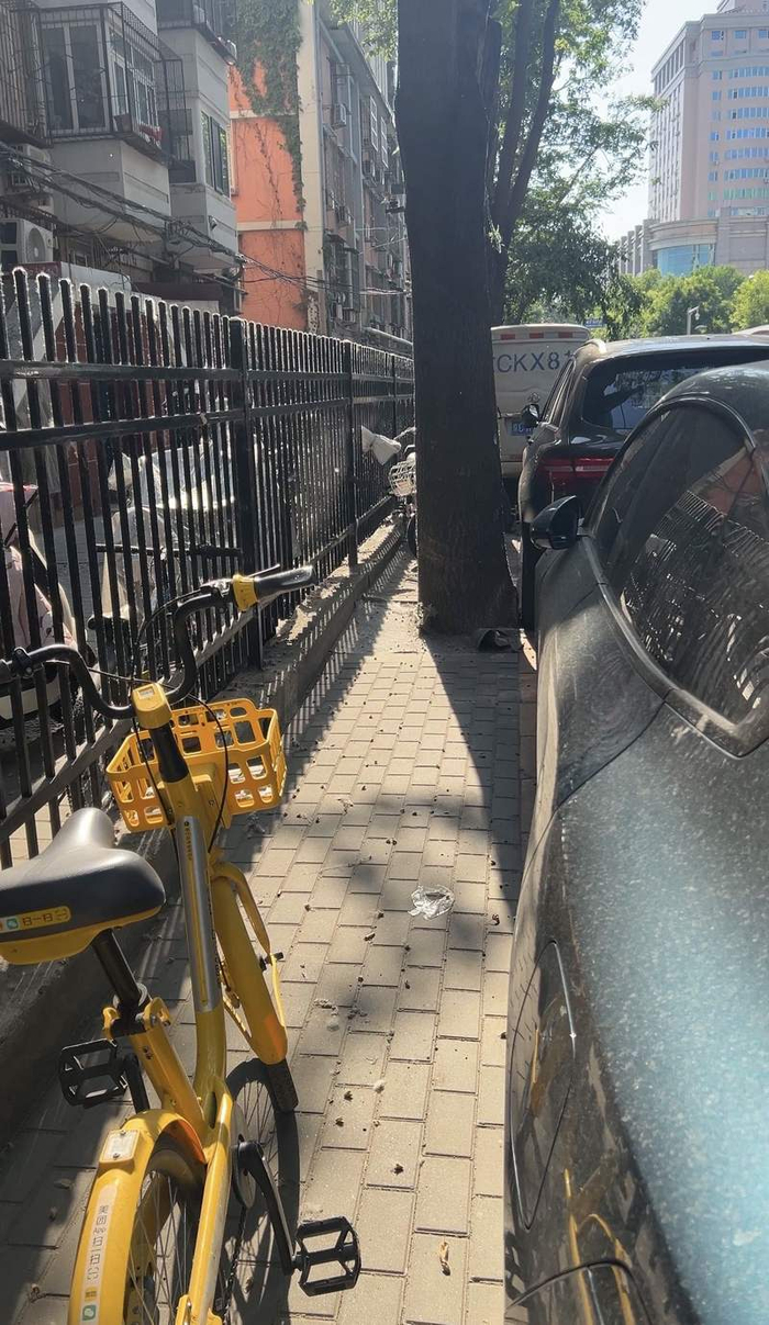 黄瓜园路南侧也有黄线划出的人行道，上面停满了车。新京报记者 陈璐 摄  