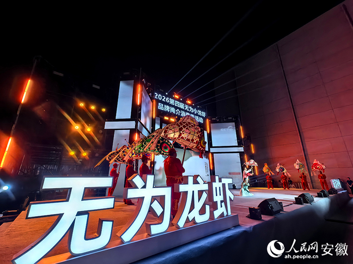 无为鱼灯“游”到了活动现场。人民网记者 汪瑞华摄