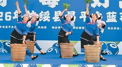 昌平乡蓝莓采摘季活动现场。扶绥县融媒体中心供图