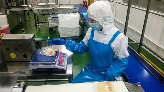 图为位于隆尧县的河北凤韩食品有限公司意面生产车间，工作人员在生产线上忙碌。资料图片