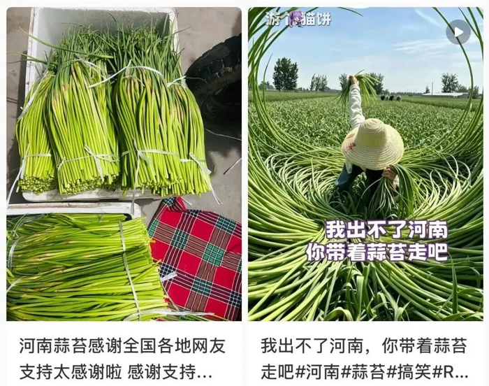 △网络截图