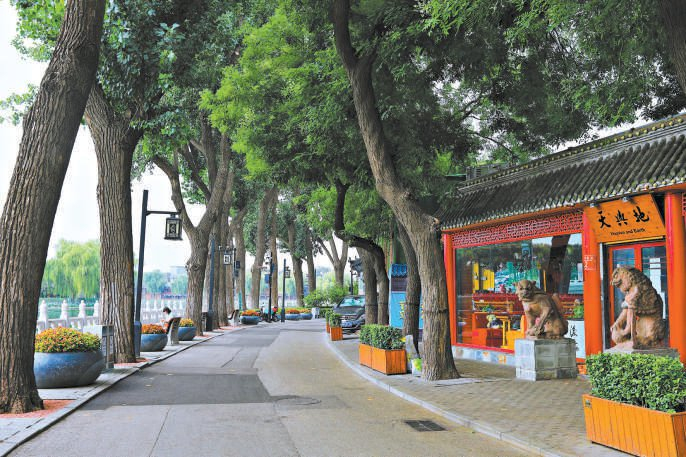 　　前海北沿 视觉中国供图