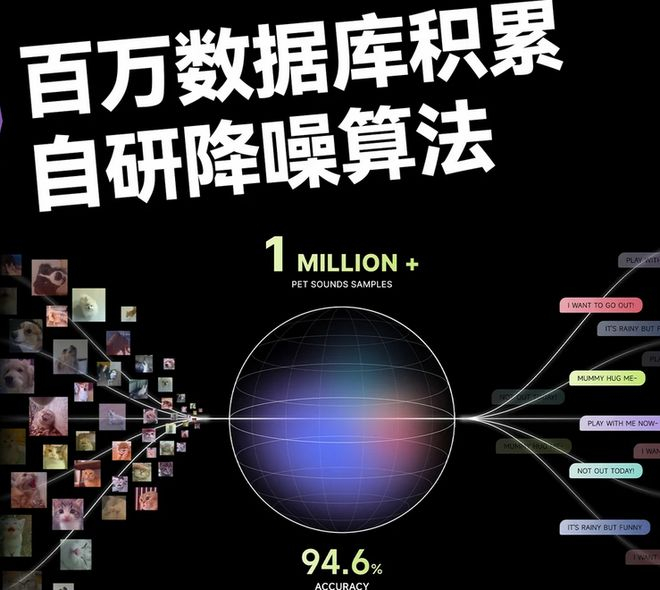 图源：小红书