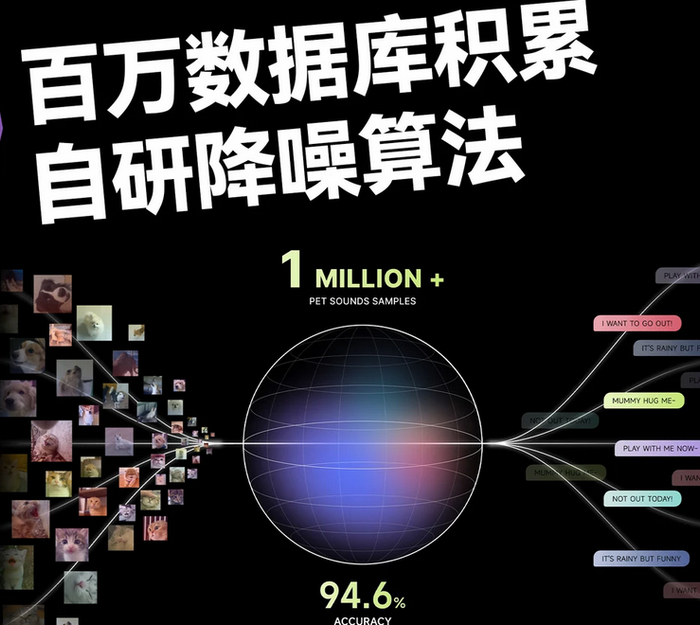 图源：小红书
