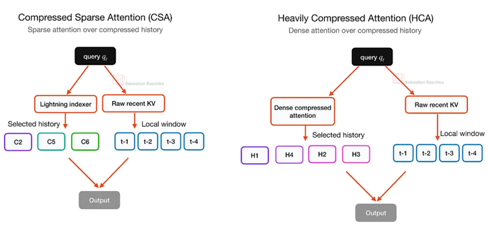 CSA 与 HCA 的对比。
