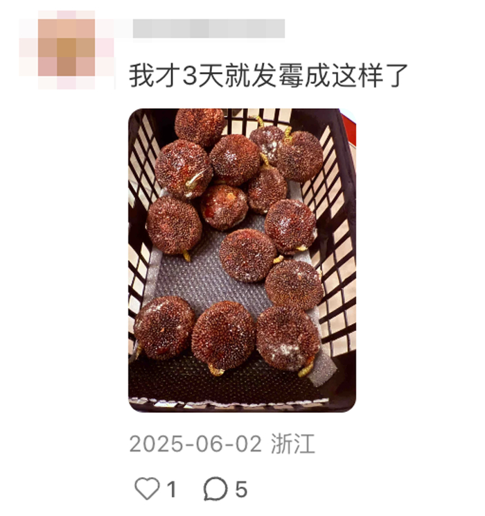 图片来源：🍠