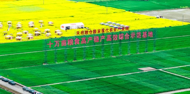 今年3月，天府粮仓国家现代农业产业园十万亩粮食高产稳产高效综合示范基地。