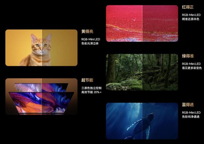 （图源：海信）