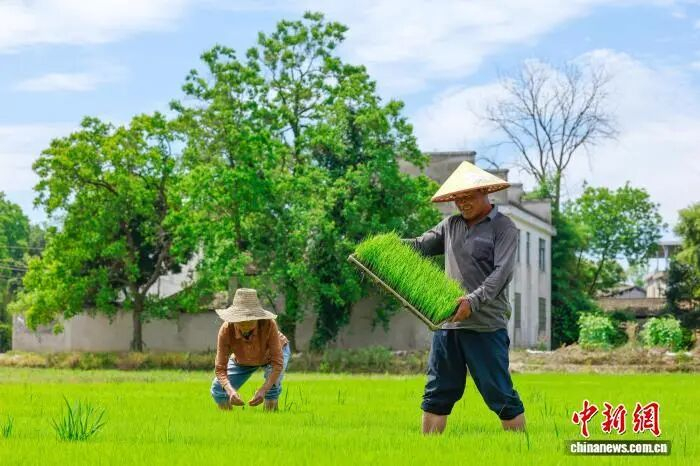 施亚磊 摄
