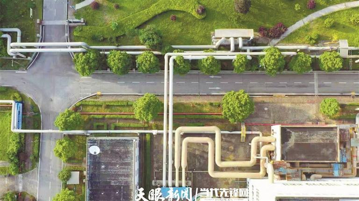贵州大龙百通汇源热力有限公司架设的热力管网。 贵州日报天眼新闻记者 管云 摄