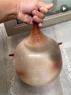 图源：小红书