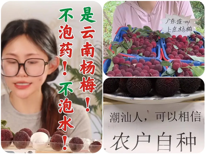 图源：电商平台直播画面截图