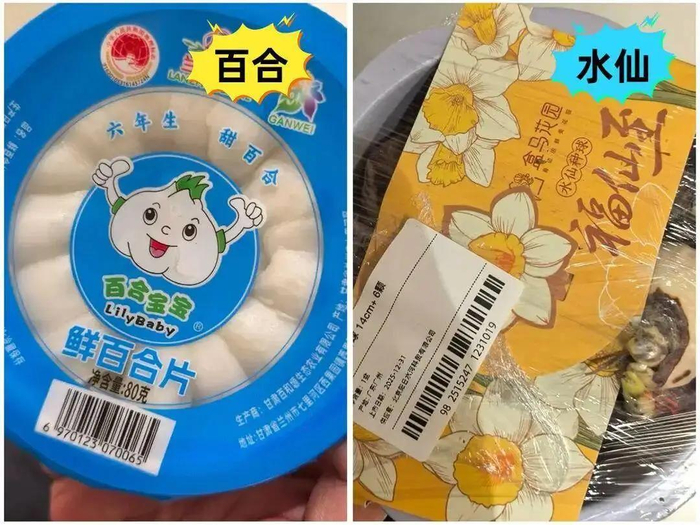 两者商品包装外观