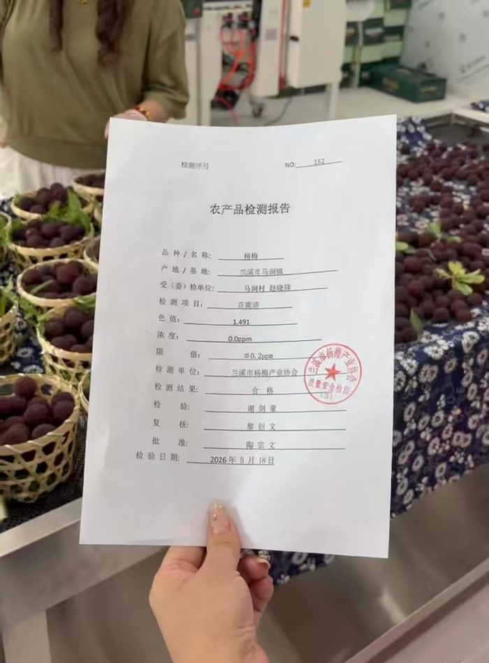 凌晨杨梅的检测报告。图/受访者提供