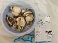 盒马被处罚