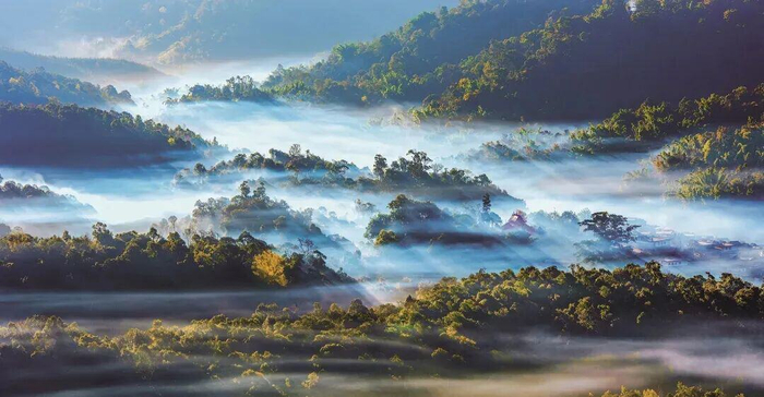 秀美景迈山 图源：普洱日报