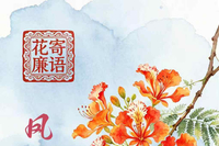 花寄廉语丨凤凰花：红映廉心 清韵传芳