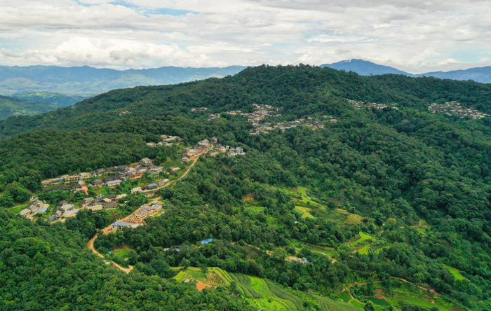 在景迈山，古村寨掩映在大片山林茶园之间，形成了山共林、林生茶、茶绕村的独特生态景观。李贺 摄