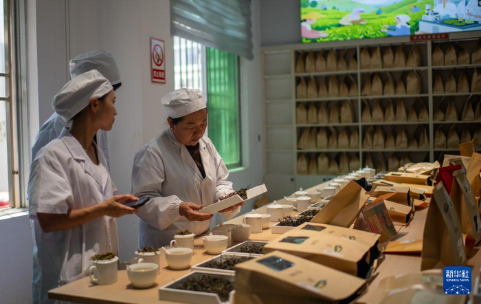 4月22日，云南省临沧市双江县茶叶检测品荐溯源中心的专家在评审茶叶。新华社记者 江文耀 摄